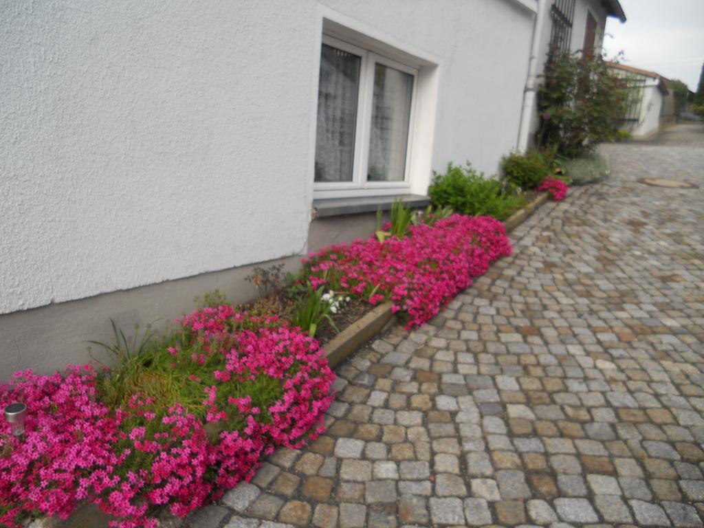 Ferienhaus Zittau Oberlausitz & Ferienwohnung Am Hamann Berg מראה חיצוני תמונה