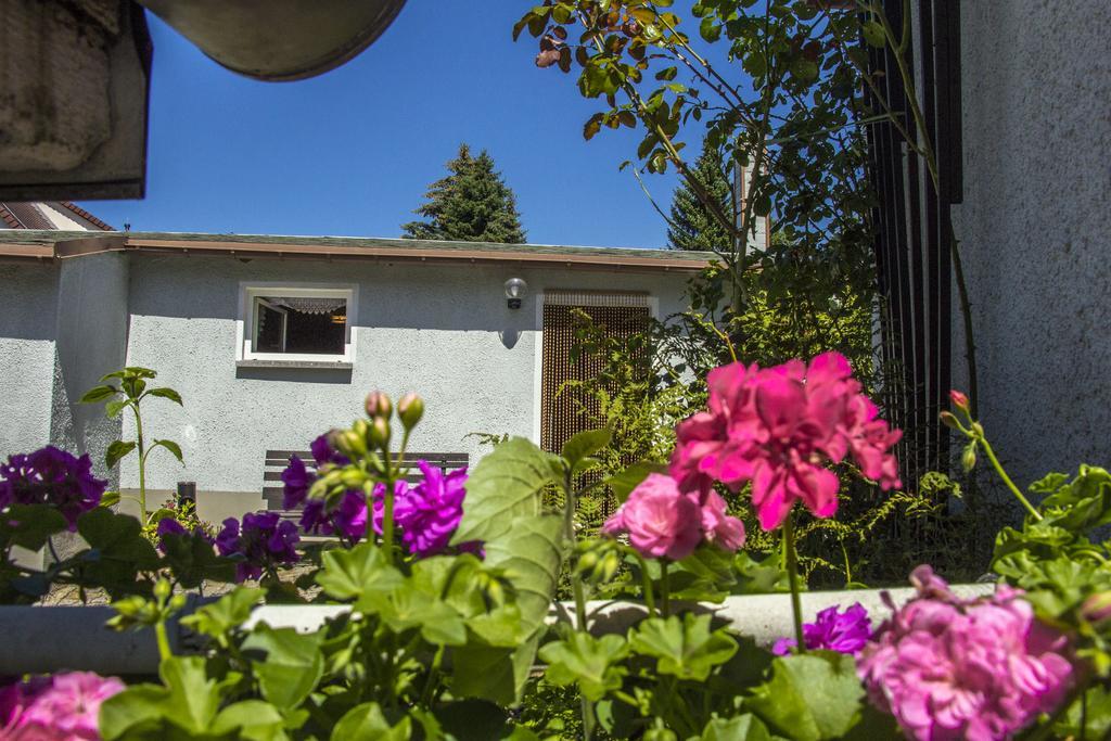 Ferienhaus Zittau Oberlausitz & Ferienwohnung Am Hamann Berg מראה חיצוני תמונה